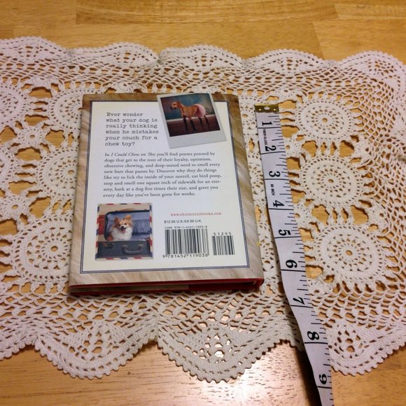 Pet Humor, I could Chew On This. What dogs think.....? - Picture 2 of 9